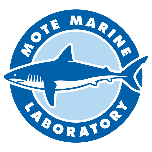 Marine Laboratory: Micro-fragmenting coral reef restoration