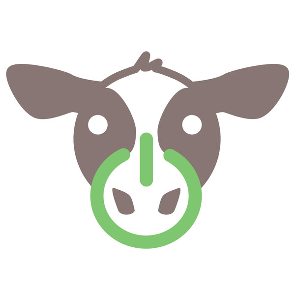 ReMooable: Sustainable fuel from animal biogas