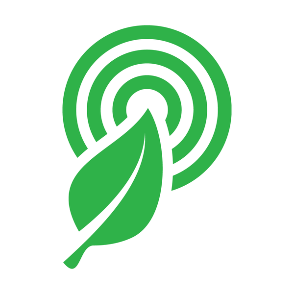 Rainforest Connection: Creating a monitoring system to detect illegal deforestation