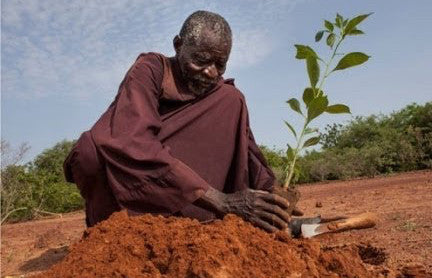 The Man Who Stopped the Desert Foundation: Better farming through ancient practices