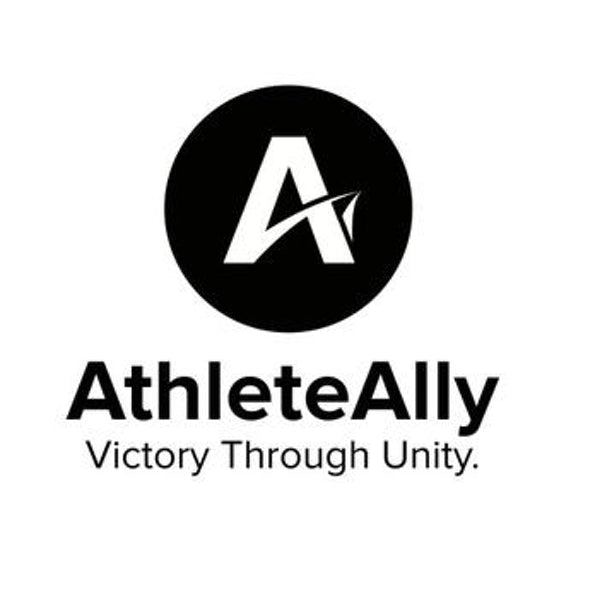 Athlete Ally: Developing an Online Curriculum on LGTBQ Issues in Sports