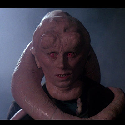 Bib Fortuna