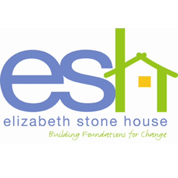 The Elizabeth Stone House: Helping families and individuals of domestic violence