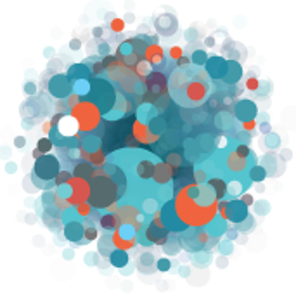 Global Network Initiative: Protecting and Advancing Freedom of Expression