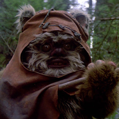 Wicket Warrick