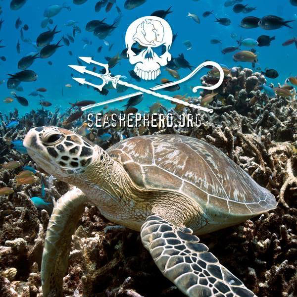 Sea Shepherd Conservation Society