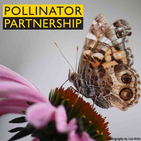 Pollinator Partnership