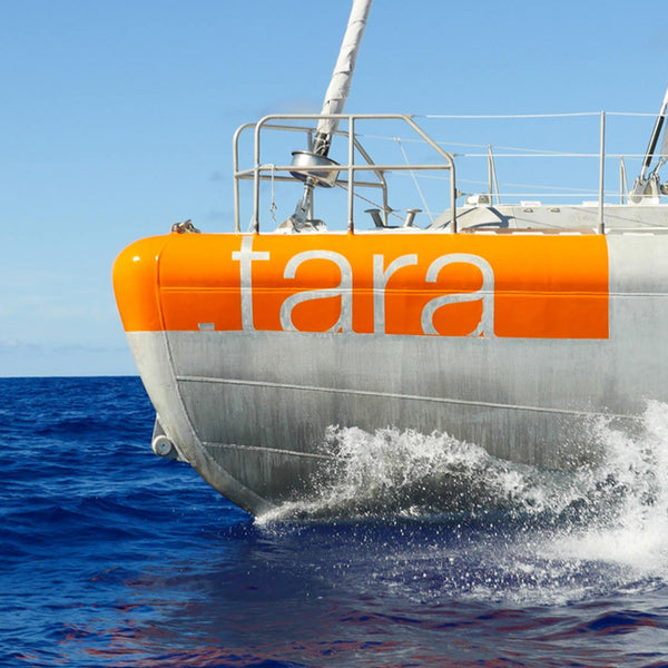 Tara: A schooner for the planet