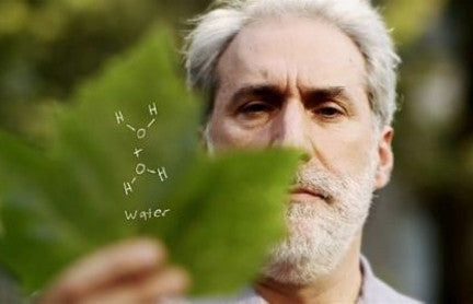 Artificial Leaf: Using artificial photosynthesis to produce clean energy