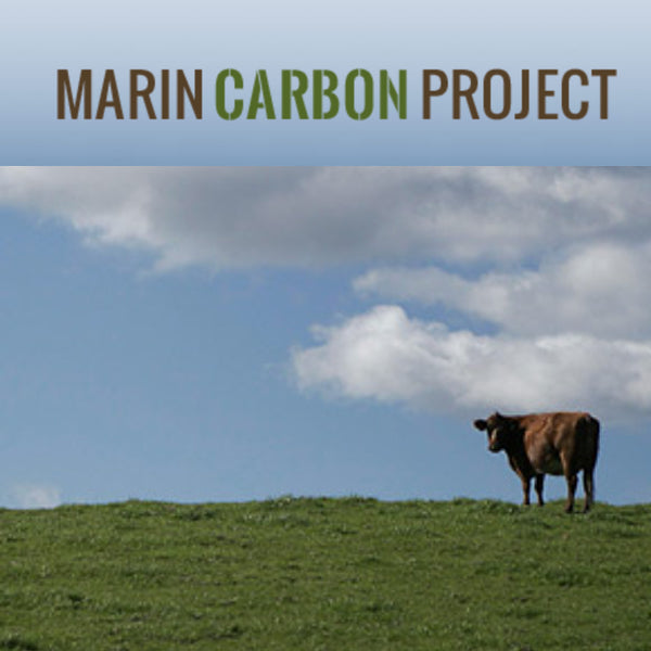 Marin Carbon Project: Improving Soil to Reverse Climate Change