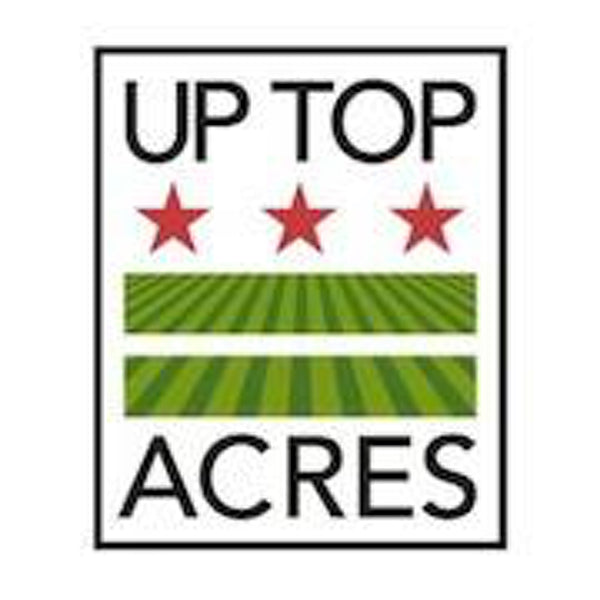Up Top Acres: Reimagining farms by growing food on roofs