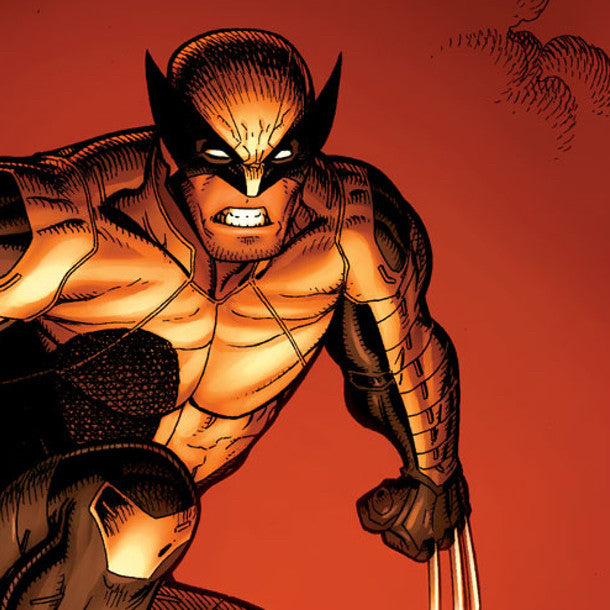 Wolverine | Shared Nation