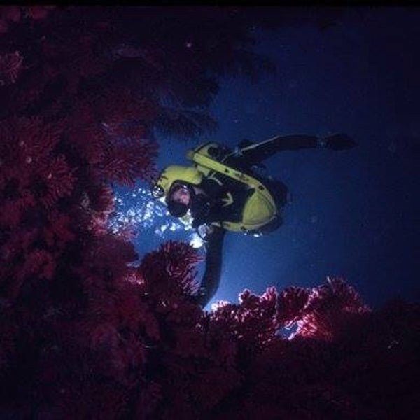 Cousteau Divers