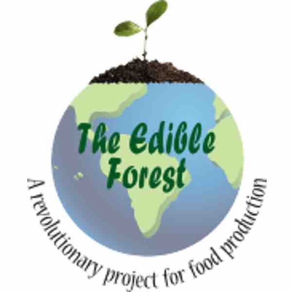 The Edible Forest